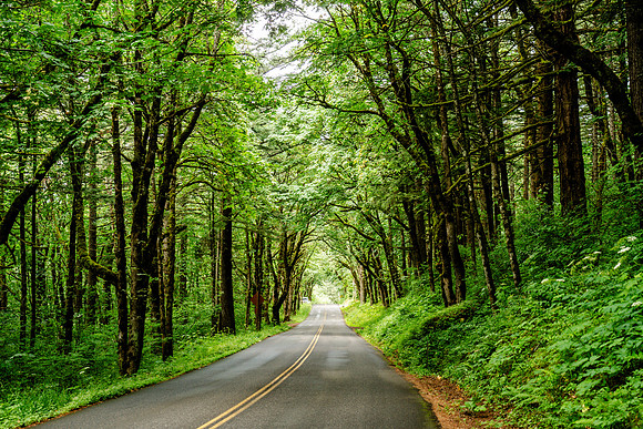 002-Oregon-74202758