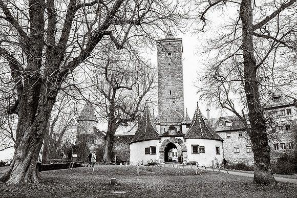 339-AMS-GER-7308282