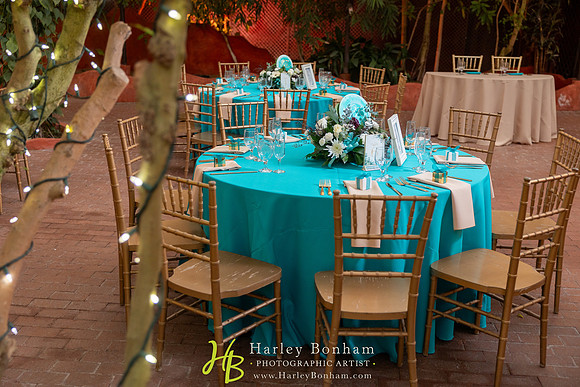 37-HarleyBonham.com-0069