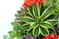 10-Montelucia-decor-Oct22-2481