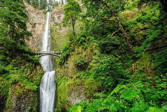 009-Oregon-74202841