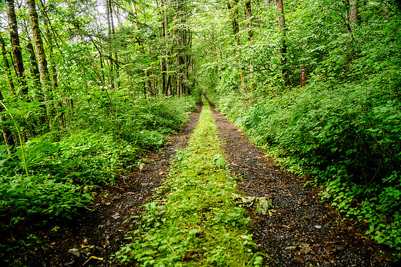 001-Oregon-74202757
