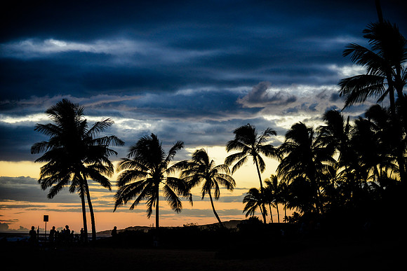 -153Kauai0590