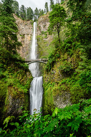 010-Oregon-74202843