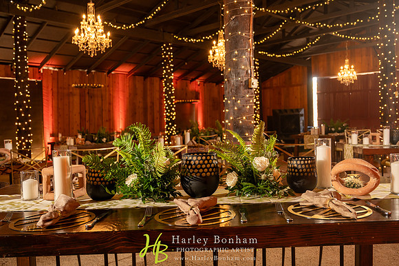 9-www.harleybonham.com-2730