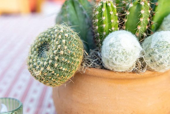 19-PhoenicianDecor-Jan30-0827