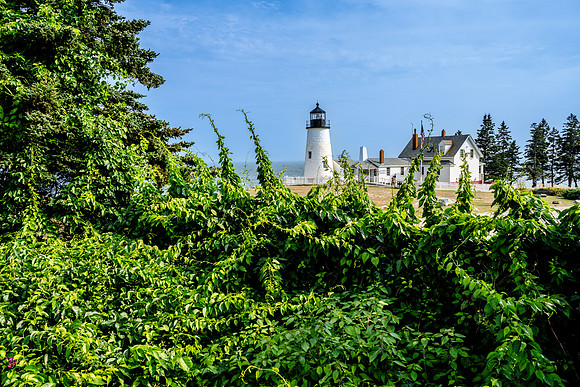 065-Maine-74203939