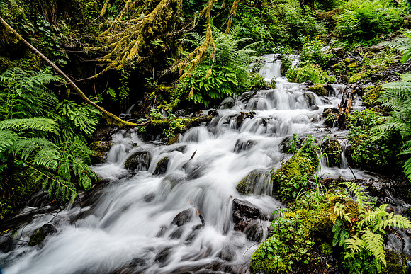 004-Oregon-74202787