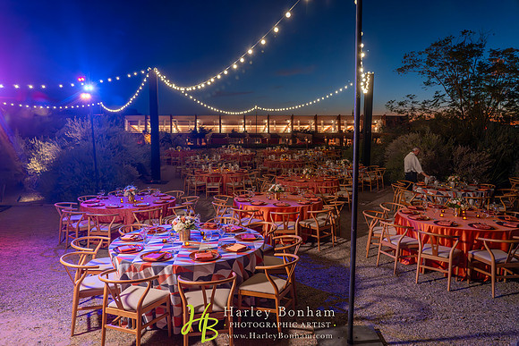 36-www.HarleyBonham.com-