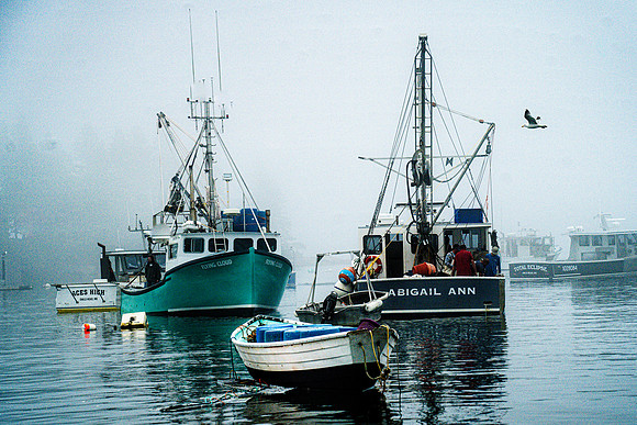 046-Maine-74203595