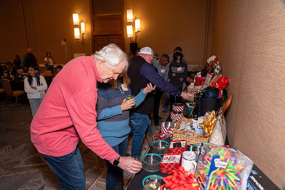 020-SLC-xmas-74108906