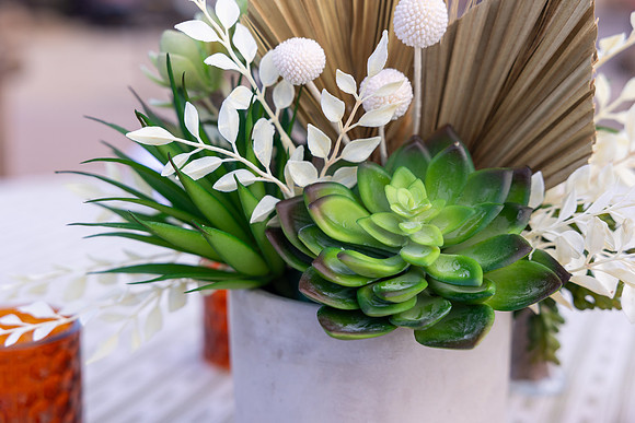 18-PRA-Principal Decor-6569