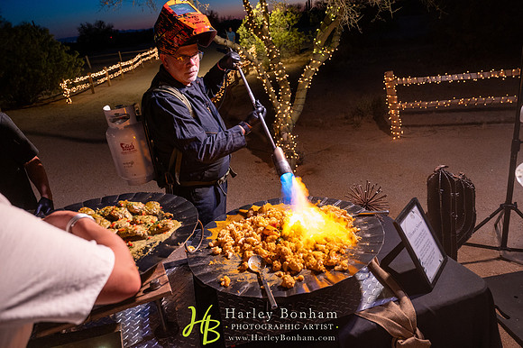 86-www.harleybonham.com-3288