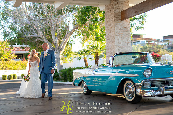 68-www.harleybonham.com-3137