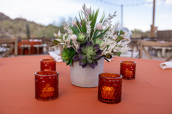 21-PRA-Principal Decor-6572