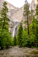 255-california2017-6301159