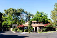 024-Adams-74102477