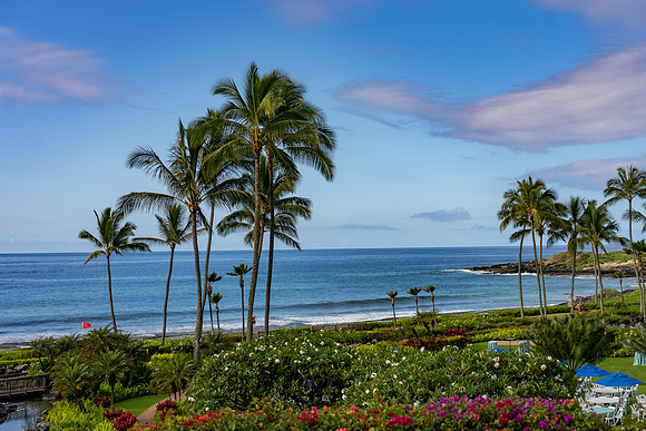179-TriNet-Kauai-2025-100721
