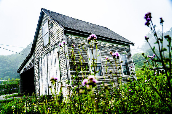 036-Maine-74203526