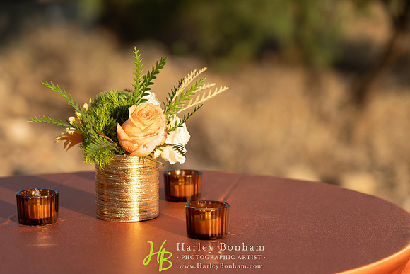 5-www.HarleyBonham.com-74205741