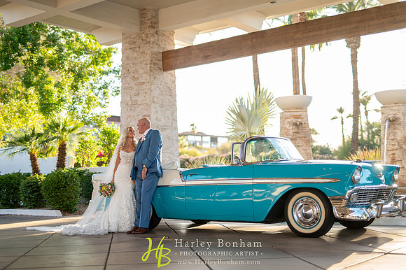 63-www.harleybonham.com-3124
