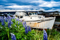 011-Alaska-