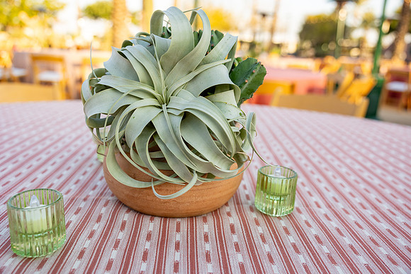 5-PhoenicianDecor-Jan30-0807