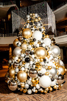019-Hyatt-74105654