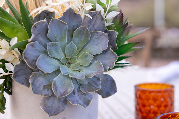 17-PRA-Principal Decor-6568