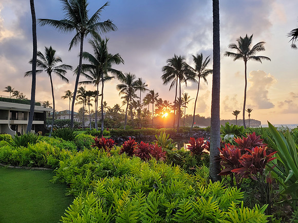 450-TriNet-Kauai-2025-062510
